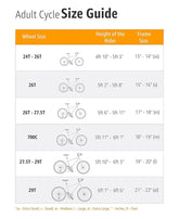 BSA cycles Ladybird Hazel Cycle 24T 9 Years to 15 Years